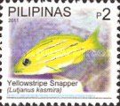 Yellowstripe Snapper (Lutjanus kasmira)