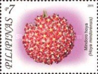 Mindoro Hoya
