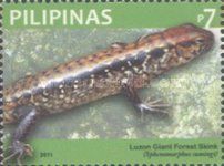 Luzon Giant Forest Skink (Sphenomorphus cumingi)