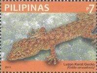 Luzon Karst Gecko (Gekko carusadensis)