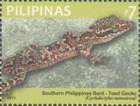 Southern Philippine Bent-toed Gecko (Cyrtodactylus mamanwa)