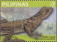 Philippine Sailfin Lizard (Hydrosaurus pustulatus)