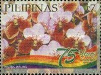 Waling-waling Orchids