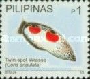 Clown Coris (Coris aygula)