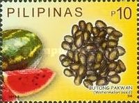 Butong Pakwan (Watermelon Seed)