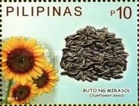 Butong Mirasol (Sunflower Seed)
