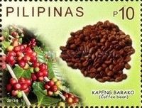 Kapeng Baraco (Coffee Bean)