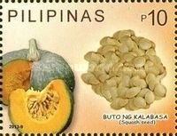 Buto ng Kalabasa (Squash seed)