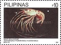 Deep-Sea Shrimp (Stylodactylus multidentatus)