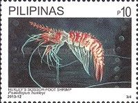 Huxley's Scissor-Foot Shrimp (Psalidopus huxleyi)