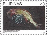 Deep-Sea Armored Shrimp (Glyphocrangon proxima)