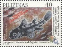 Dwarf Pygmy Goby (Pandaka pygmaea)