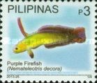 Purple Firefish (Nemateleotris decora)