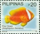 Fire Clown (Amphiprion frenatus)