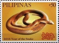 Year of the Snake