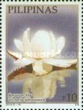 Amazon lily (Victoria amazonica)
