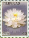 Water lily (Nymphaea)