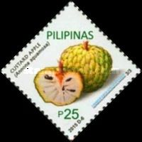 Custard apple