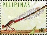 Small Red Damselfly (Ceriagrion tenellum)