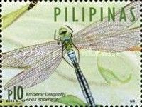 Emperor Dragonfly (Anax imperator)