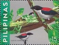 Vizaysa Flowerpecker
