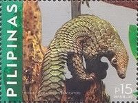 Philippine Pangolin