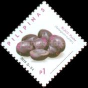 Black plum