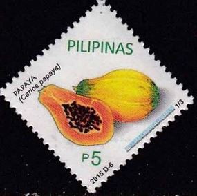 Aratiles fruit