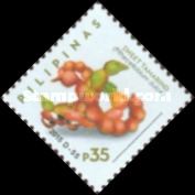 Sweet Tamarind (Pithecellobium dulce) Kamatsile