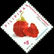 Philippine Wild Raspberry (Rollinia deliciosa) Sapinit