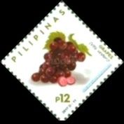 Grapes (Vitis vinifera)