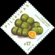 Calamansi (Citrofortunella mitis)