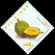 Durian (Durio zibethinus)