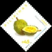 Durian (Durio zibethinus)