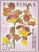 Dancing Lady Orchid (Oncidium sp.)