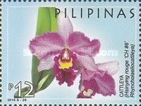 Cattleya