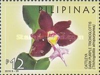 Cattleya Dark Purple Trichoglottis