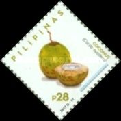Coconut (Cocos nucifera)