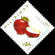 Apple (Malus domestica)