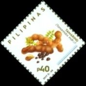 Tamarind (Tamarindus indica)