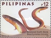 Luzon Bicolored Earth Skink (Brachymeles bicolor)