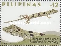 Philippine False Gecko (Pseudogekko brevipes)