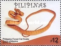 Boiga philippina