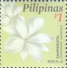 Sampaguita (Jasminum sambac)