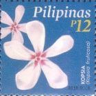 "Kopsia (Kopsia fruticosa)"