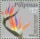 "Bird of Paradise (Strelitzia reginae)"