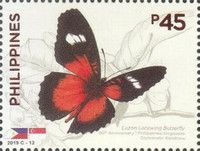 Luzon Lacewing Butterfly (Cethosia luzonica)