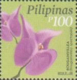 Bougainvillea (Bougainvillea spectabilis)