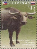 Carabao