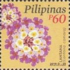 Lantana (Lantana camara)